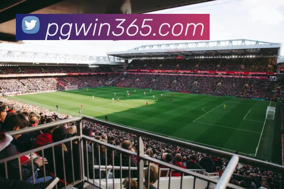 pgAPP 封面图